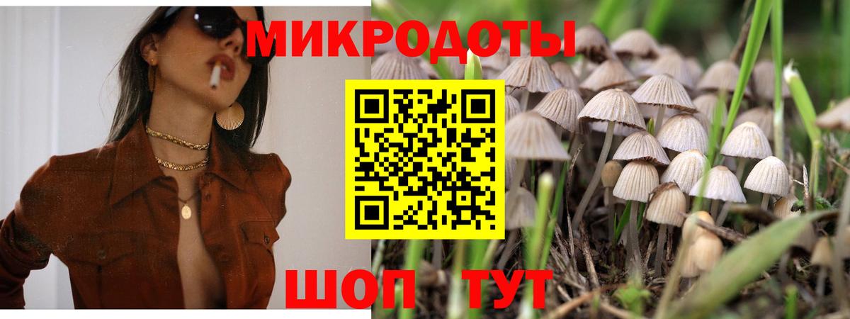 Галлюциногенные грибы Psilocybe Выборг